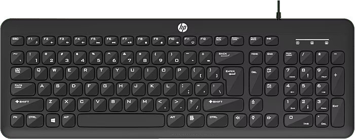 HP K160 Wired USB Standard Laptop Keyboard Compatible with Desktop, Laptop (Black)